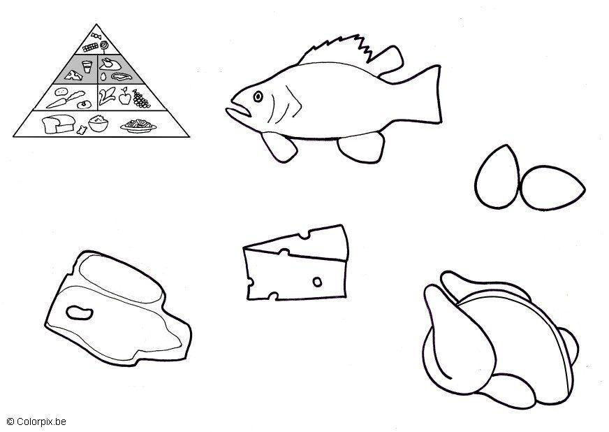 produtos de origem animal Página para colorir produtos de origem animal