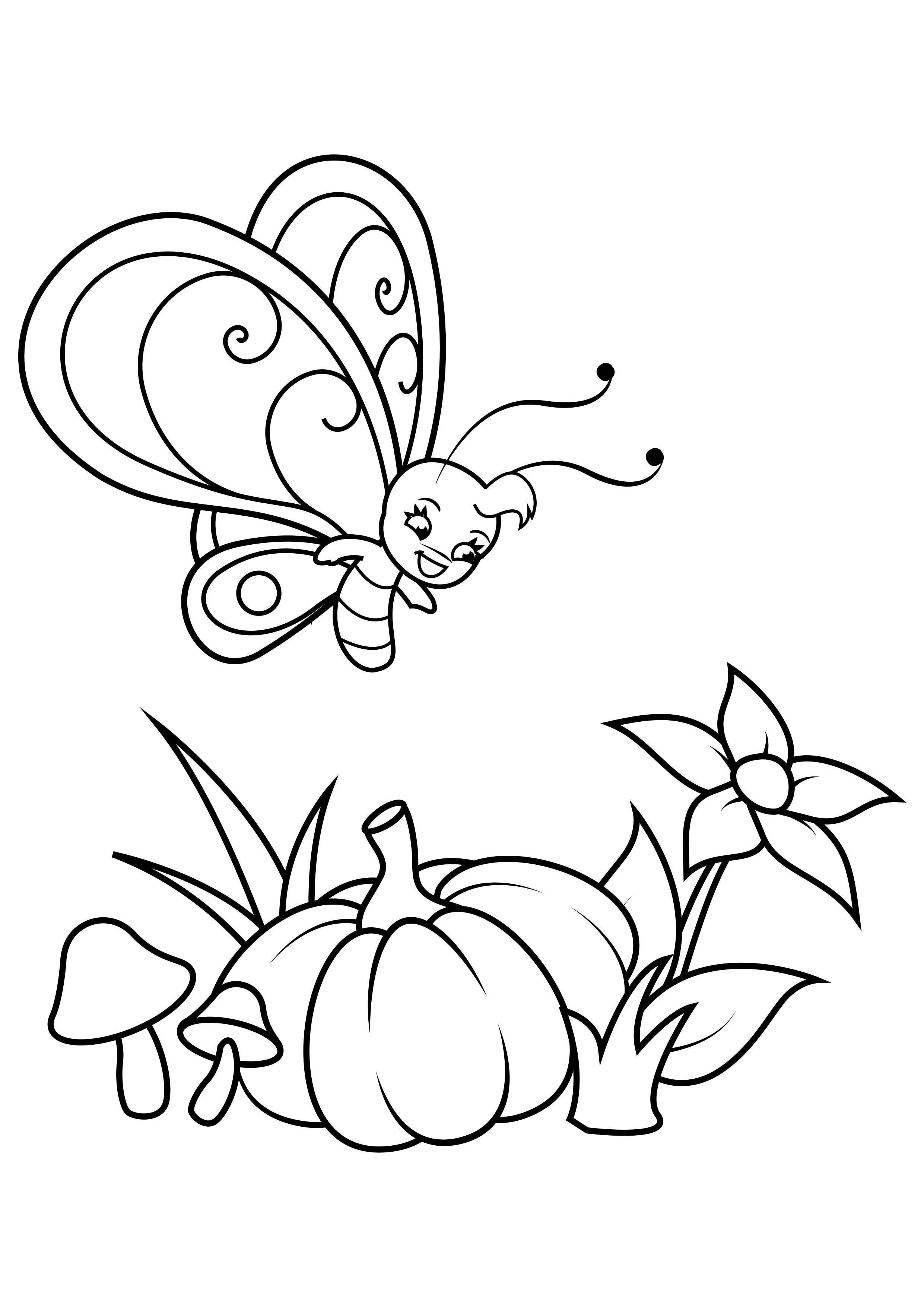 Página para colorir borboleta acima da flor e da abA³bora