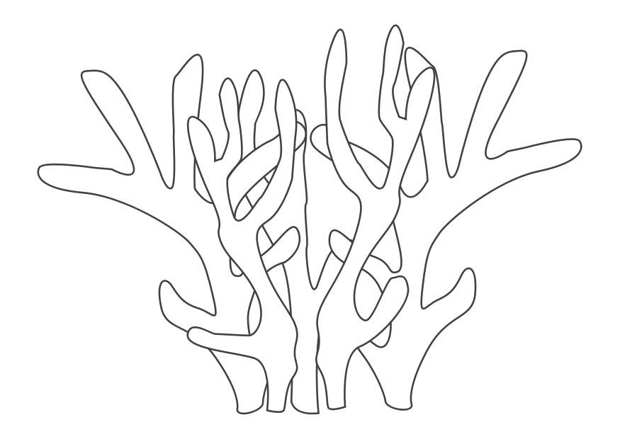 Página para colorir coral