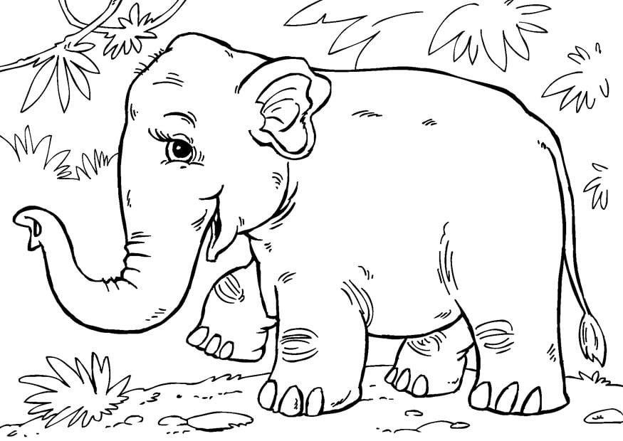 Página para colorir elefante asiA¡tico