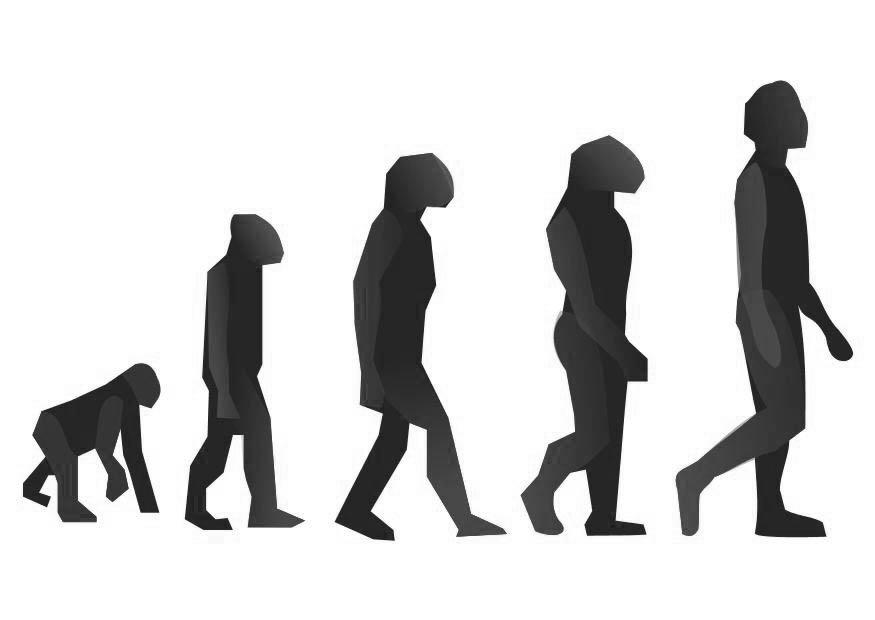 Página para colorir evoluA§A£o 