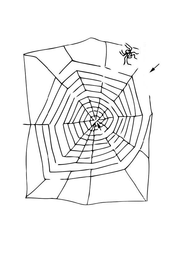 Página para colorir labirinto - aranha
