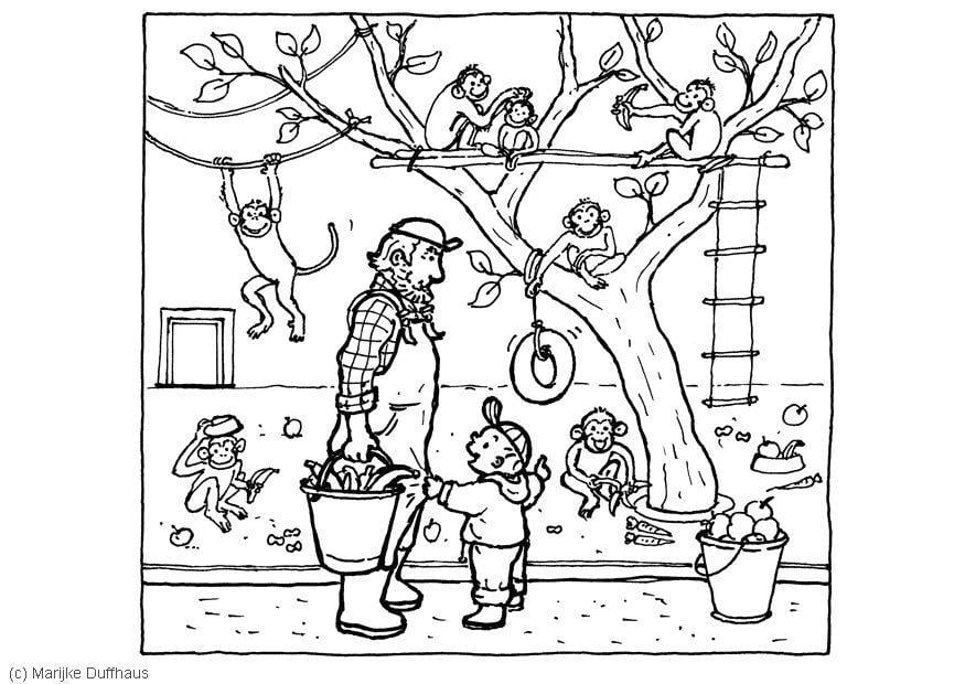 Página para colorir macacos no zoolA³gico