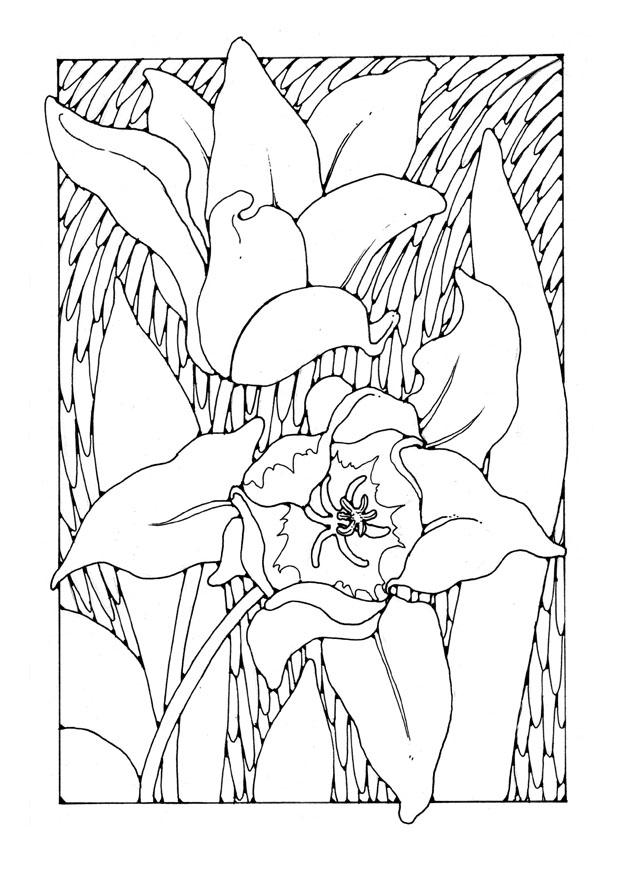 Página para colorir tulipas