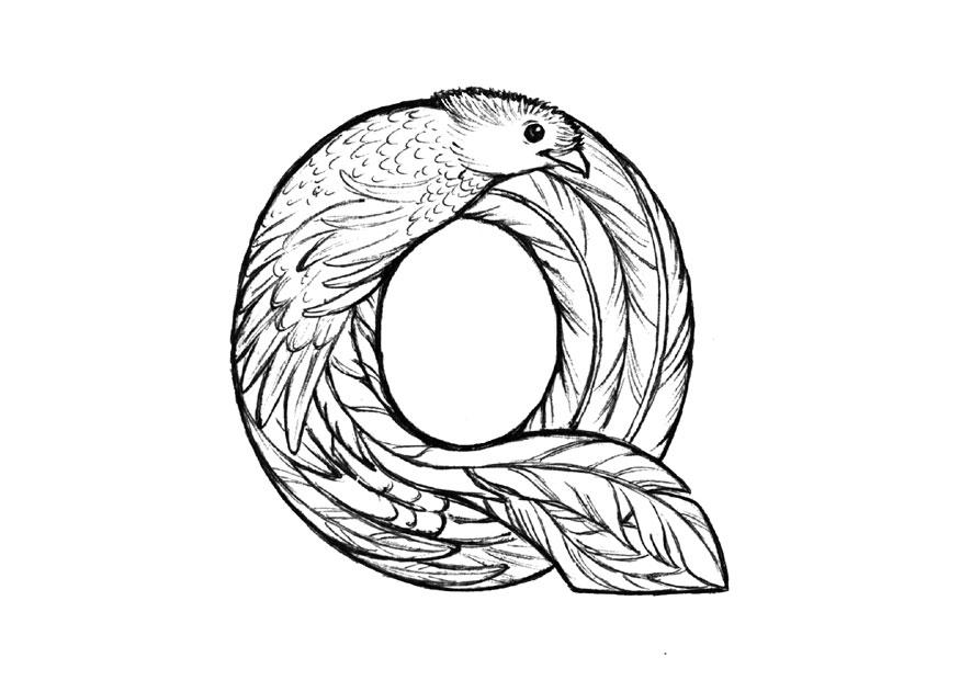 q-quetzal Página para colorir q-quetzal