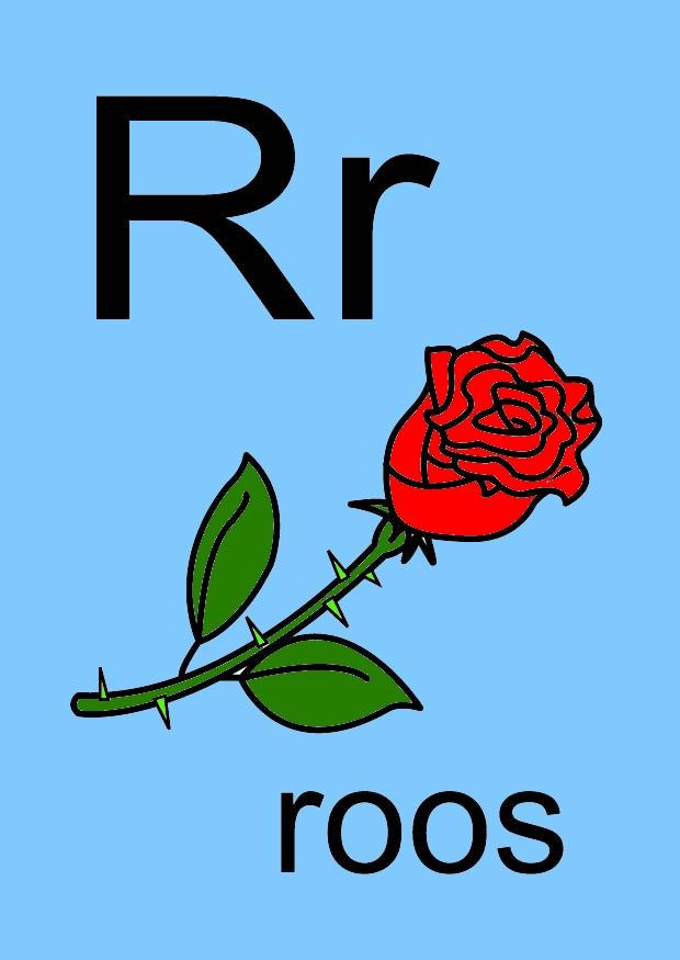 r imagem r