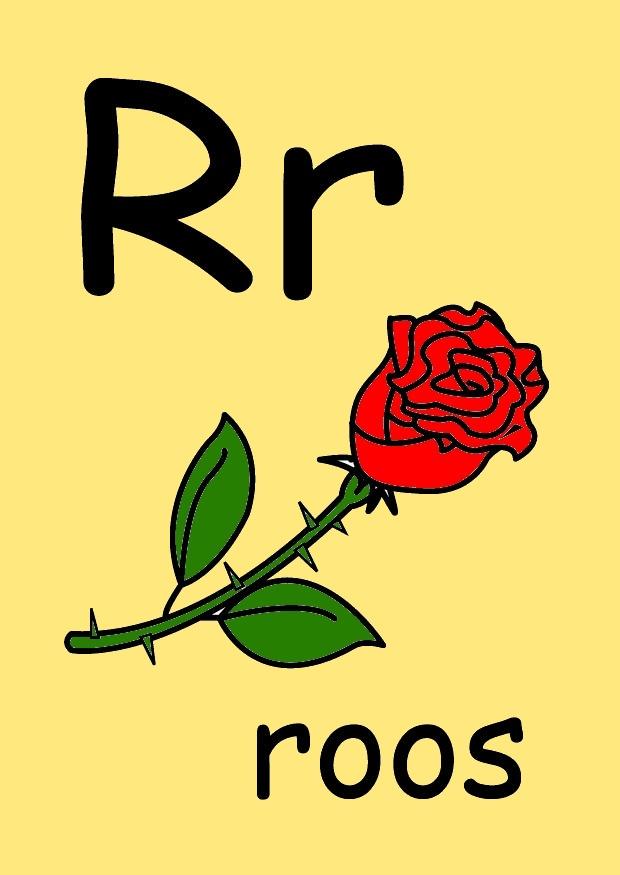 r imagem r