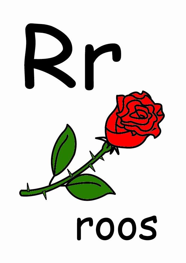 r imagem r