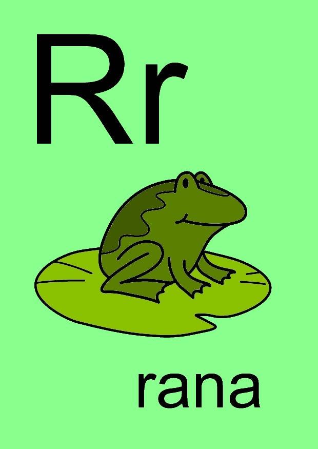 r imagem r