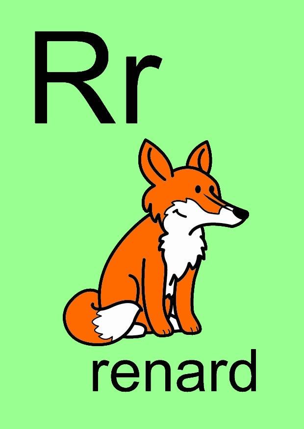 r imagem r