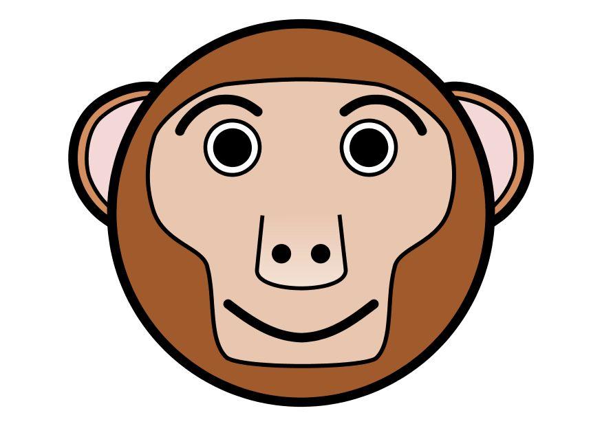r1 - macaco imagem r1 - macaco