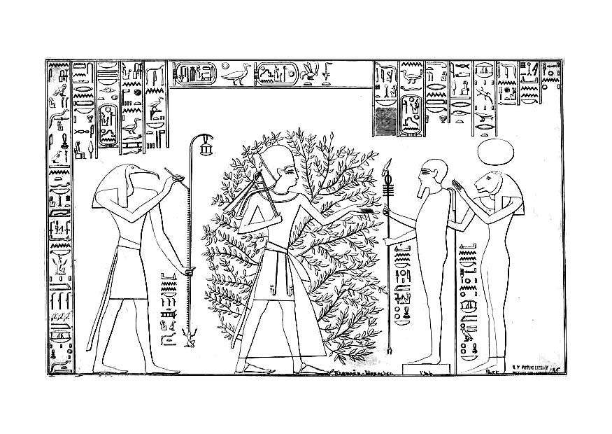 ramses e a A¡rvore da vida Página para colorir ramses e a A¡rvore da vida
