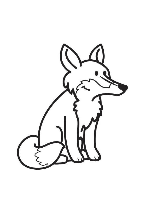 raposa Página para colorir raposa