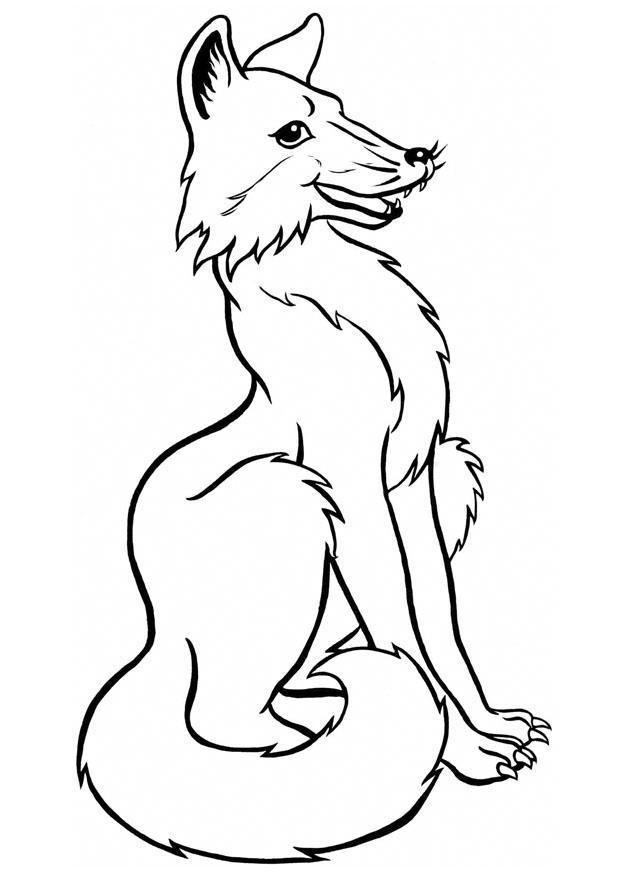raposa Página para colorir raposa
