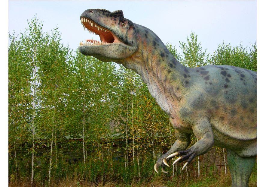 rA©plica de allosaurus Foto rA©plica de allosaurus