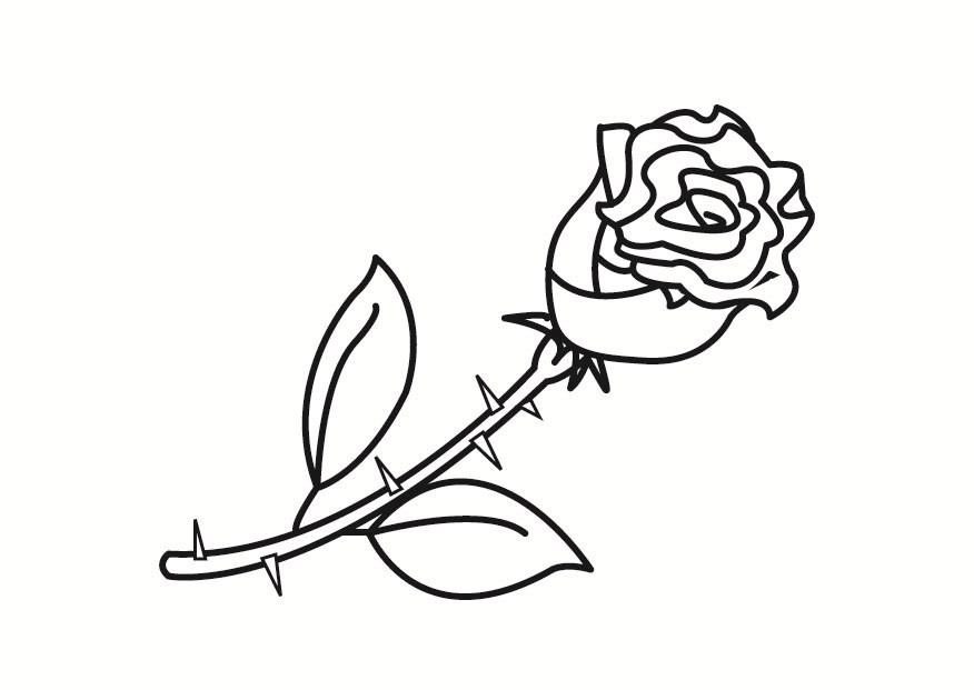 rosa Página para colorir rosa