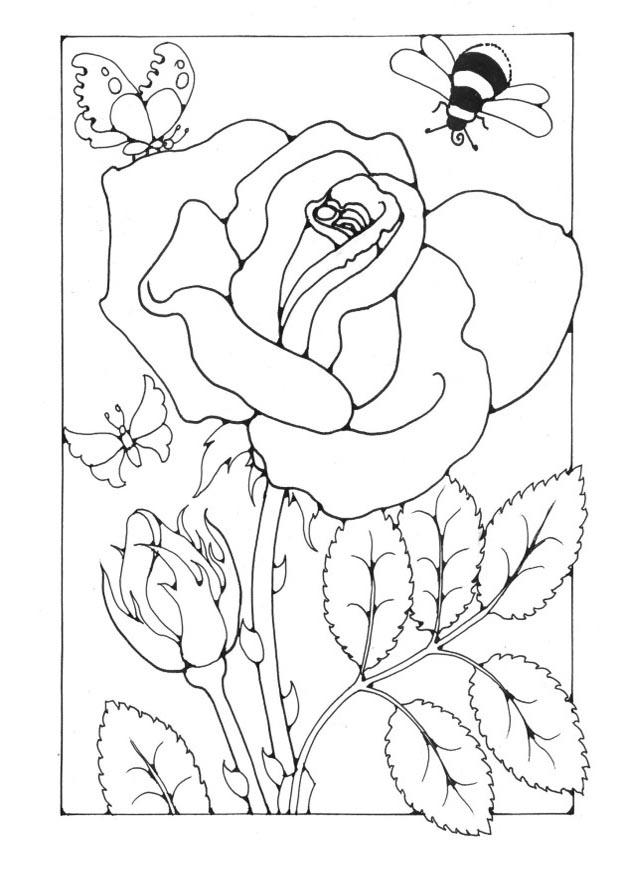 Página para colorir rosa com uma abelha e uma borboleta 