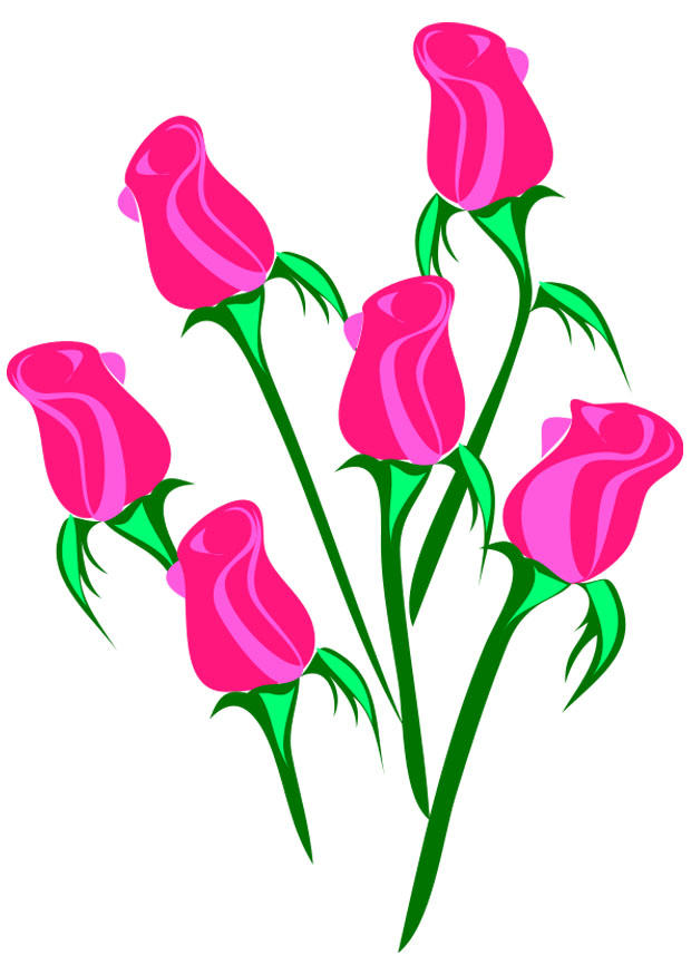 rosas imagem rosas