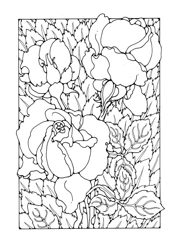 rosas Página para colorir rosas