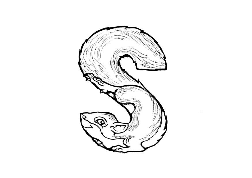 s-squirrel Página para colorir s-squirrel