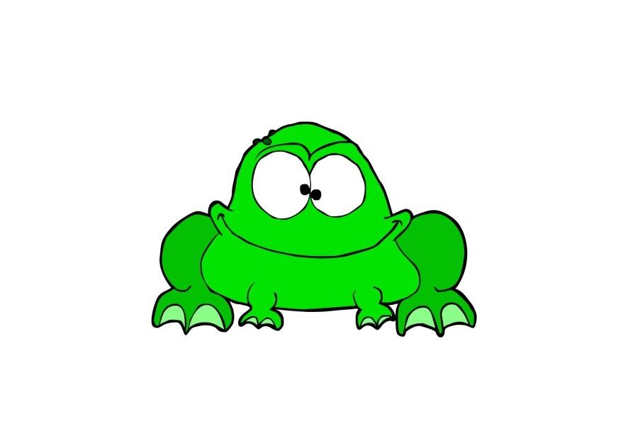 sapo imagem sapo