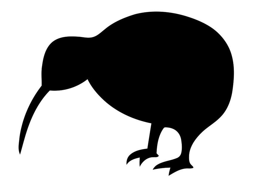 silhueta do pA¡ssaro - kiwi Página para colorir silhueta do pA¡ssaro - kiwi
