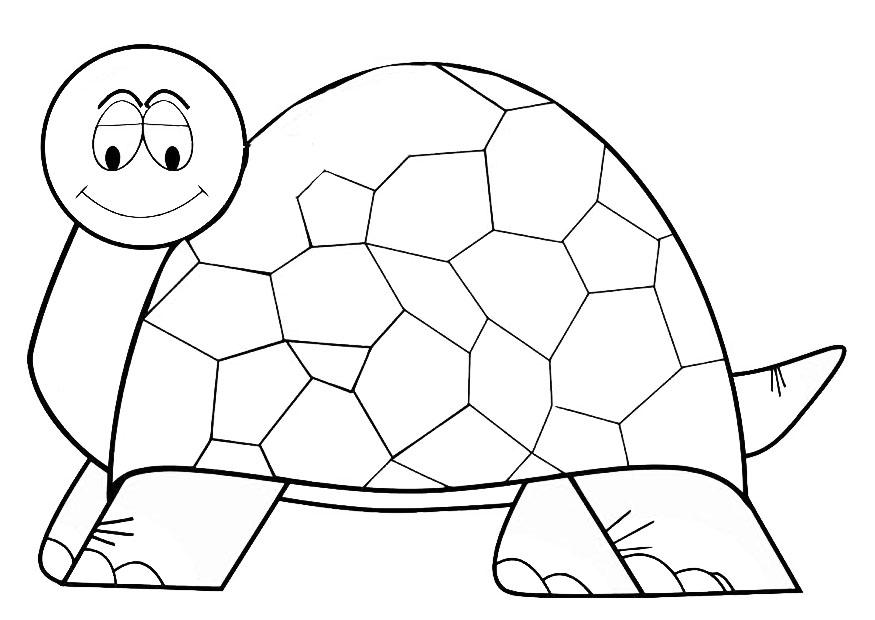 tartaruga Página para colorir tartaruga