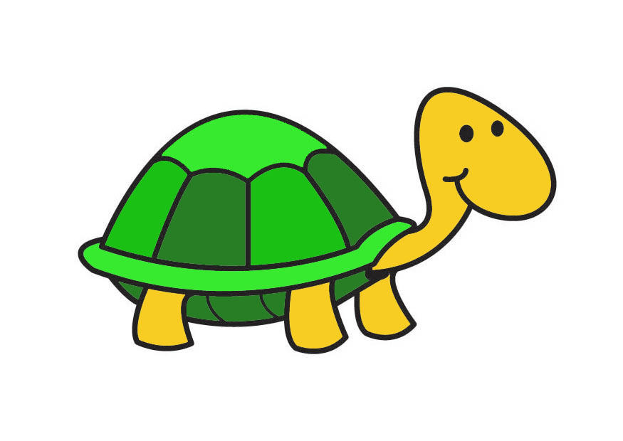 tartaruga imagem tartaruga