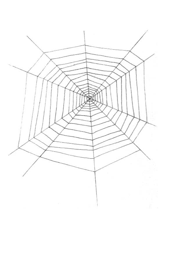 teia de aranha Página para colorir teia de aranha