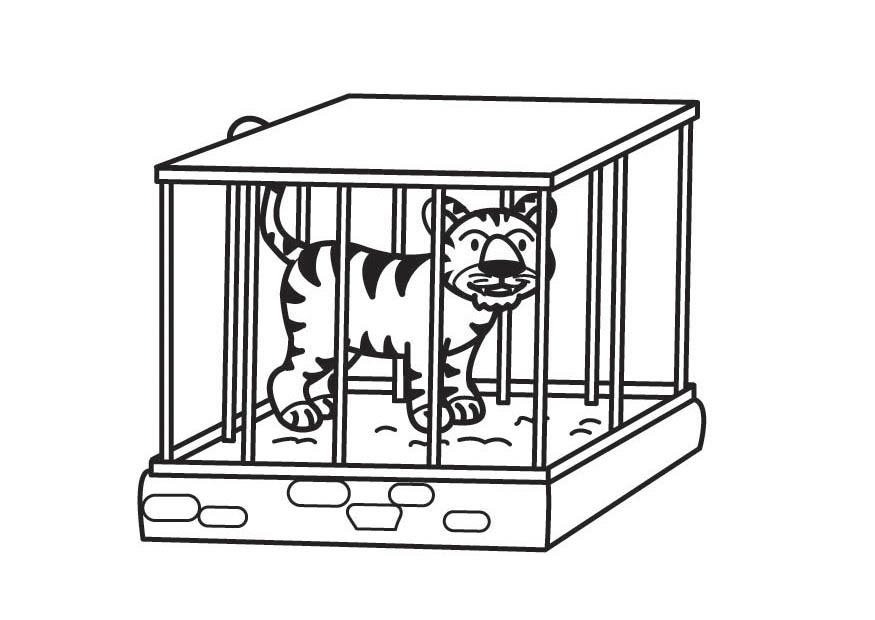 tigre na jaula Página para colorir tigre na jaula