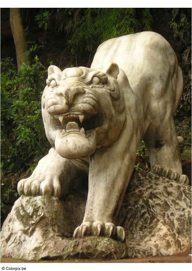 tigre no parque leshan Foto tigre no parque leshan