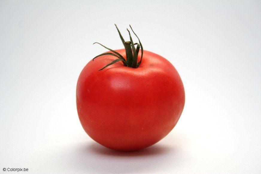 tomate Foto tomate