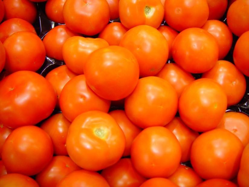 tomates Foto tomates