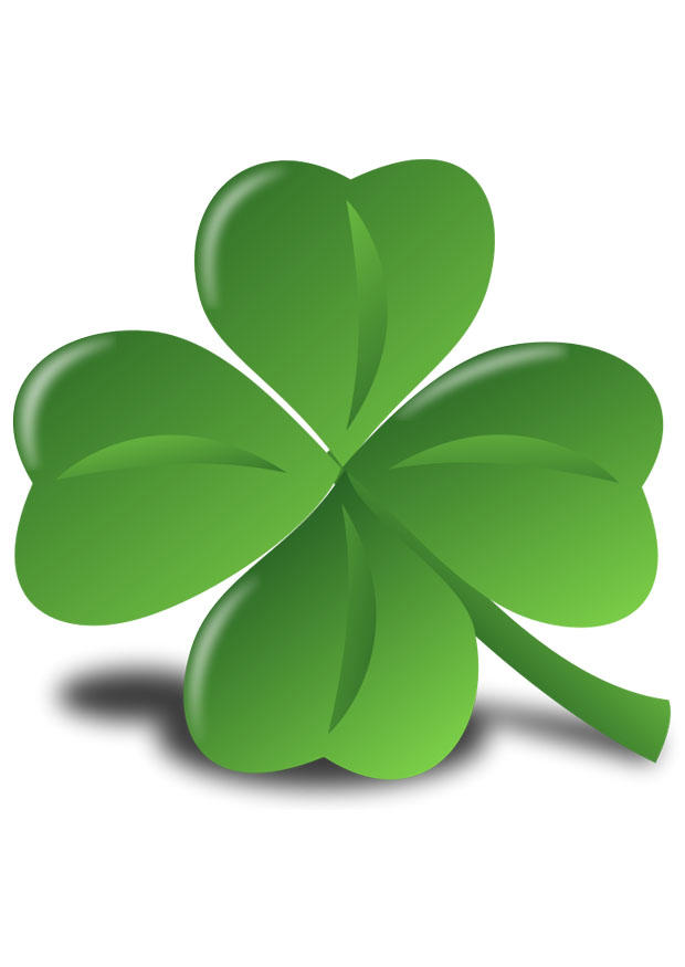 trevo da sorte - shamrock imagem trevo da sorte - shamrock
