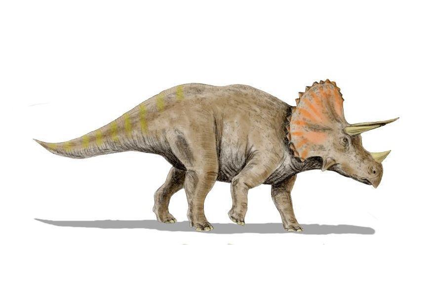 triceratops imagem triceratops