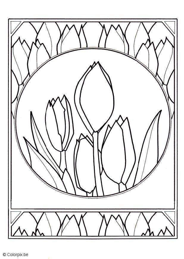 tulipas Página para colorir tulipas