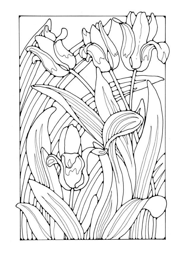 tulipas Página para colorir tulipas