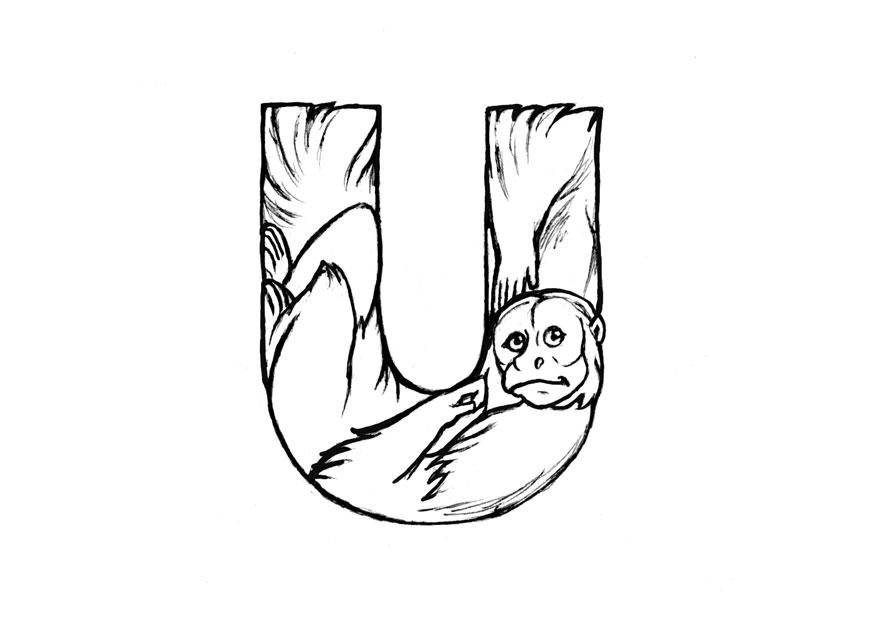 u-uakari Página para colorir u-uakari