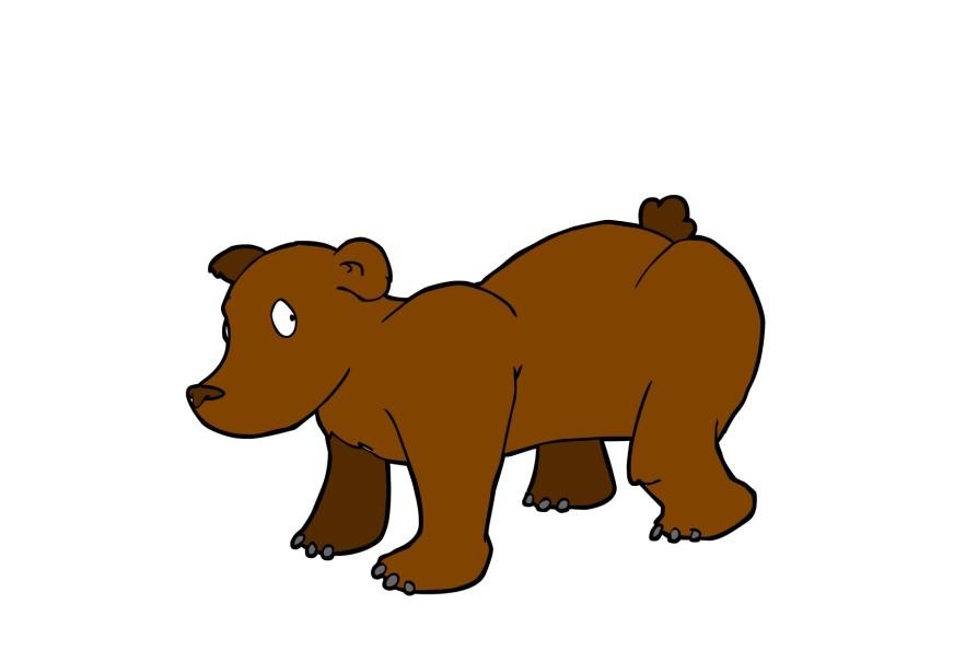 urso imagem urso