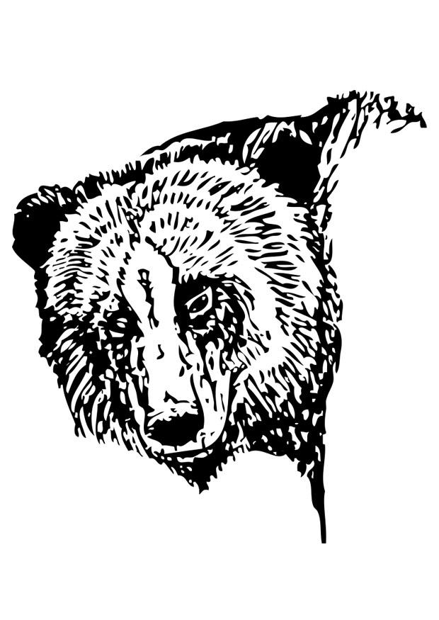 Página para colorir urso 