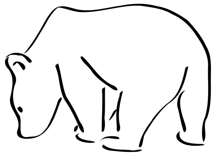urso polar Página para colorir urso polar
