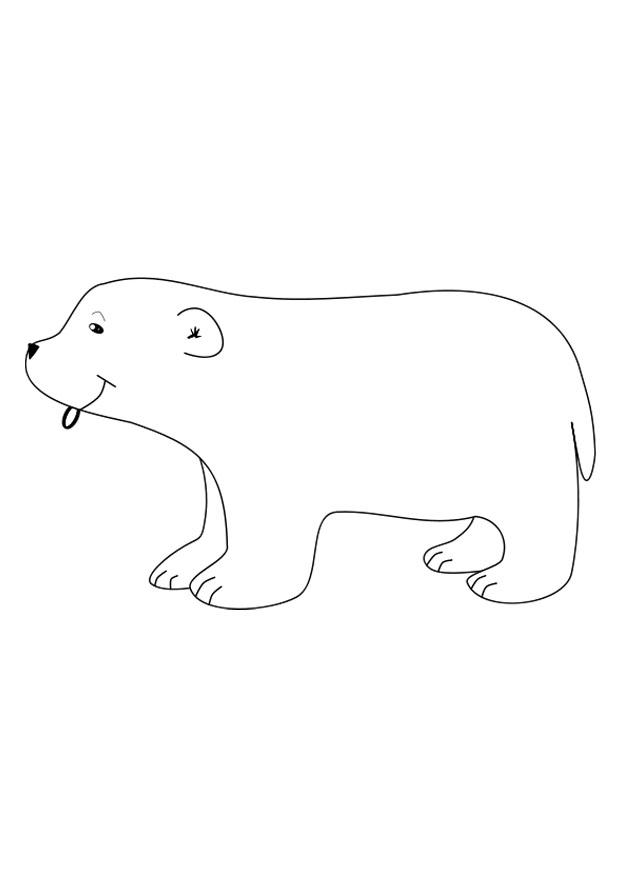 urso polar Página para colorir urso polar