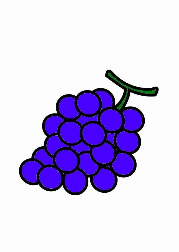 uvas imagem uvas