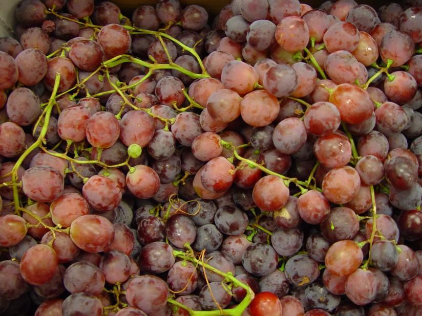 uvas Foto uvas