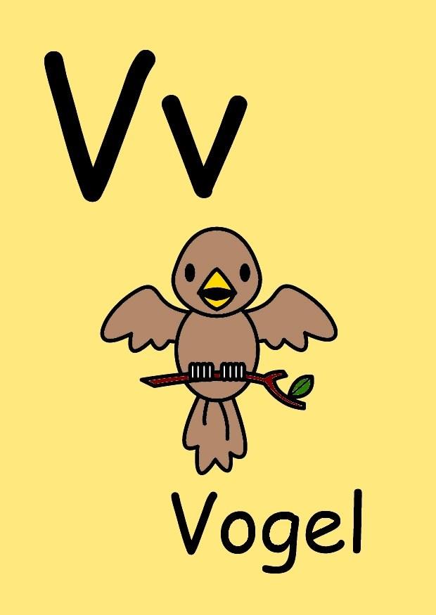 v imagem v