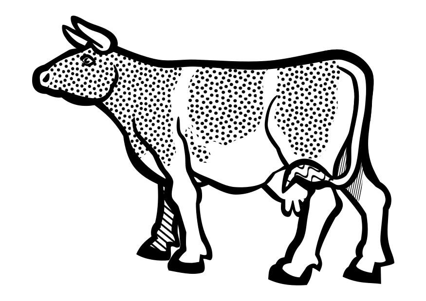 vaca Página para colorir vaca