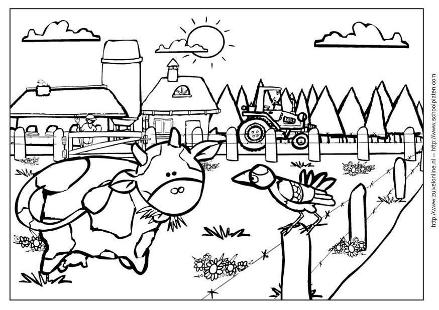 Página para colorir vaca2