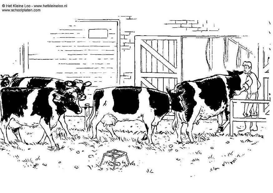 vacas Página para colorir vacas
