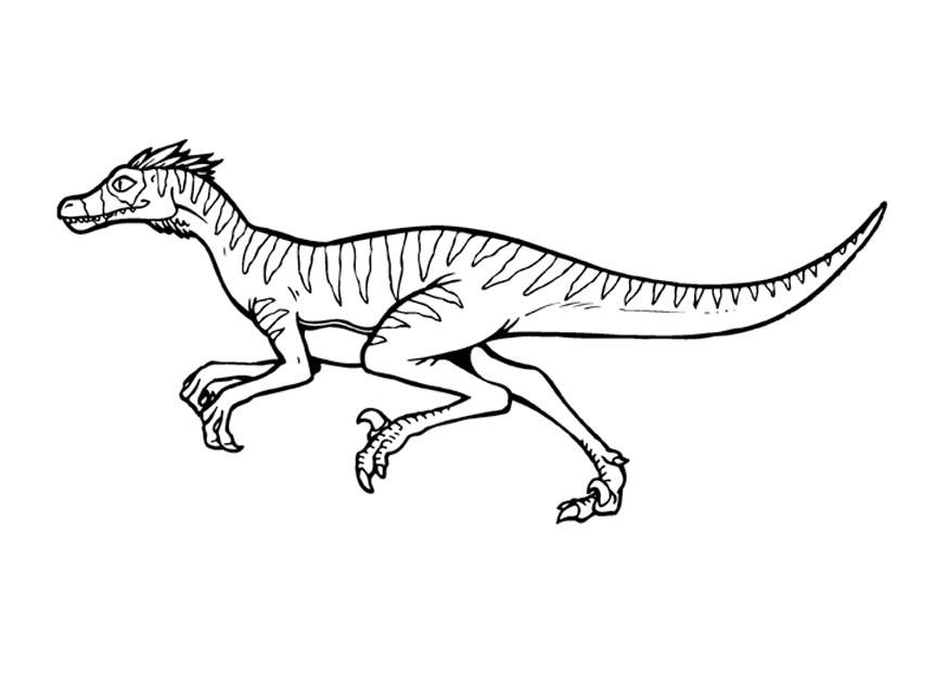 velociraptor Página para colorir velociraptor