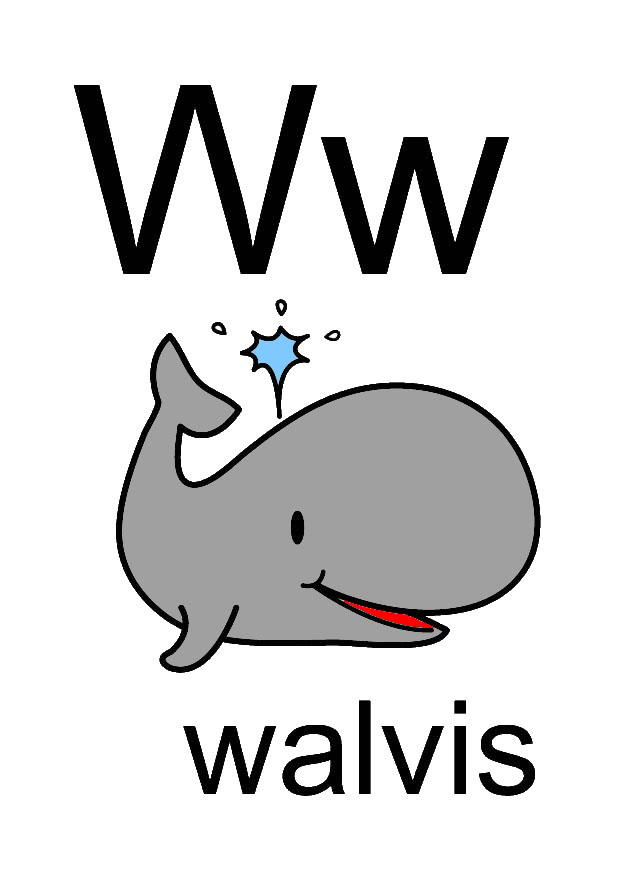 w imagem w